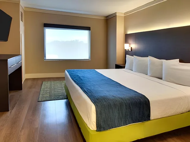 Sunset, Suite, Bungalow، Hollywood Casino St Louis 1/1