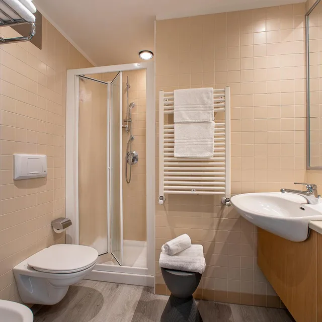 Standard, Double or Twin Bed, Hotel Rosanna 3 Stelle Superior 3/5