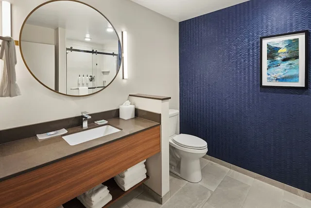 استوديو بسرير كينج مع أريكة لذوي الإعاقة، Fairfield Inn & Suites by Marriott Cedar Rapids North 6/7
