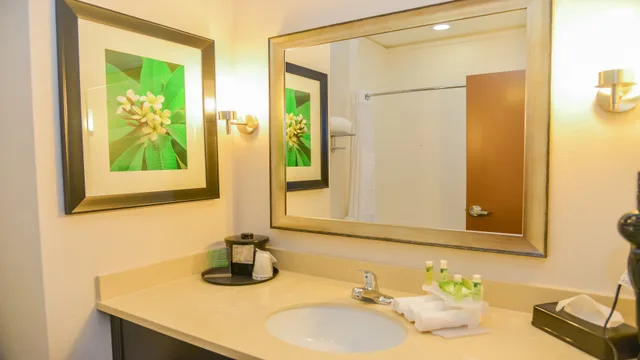 جناح بسريرين، Holiday Inn Express Suites Cuero 3/3