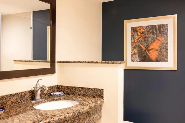 جناح جونيور مع أريكة، Courtyard Toluca Tollocan 4/9