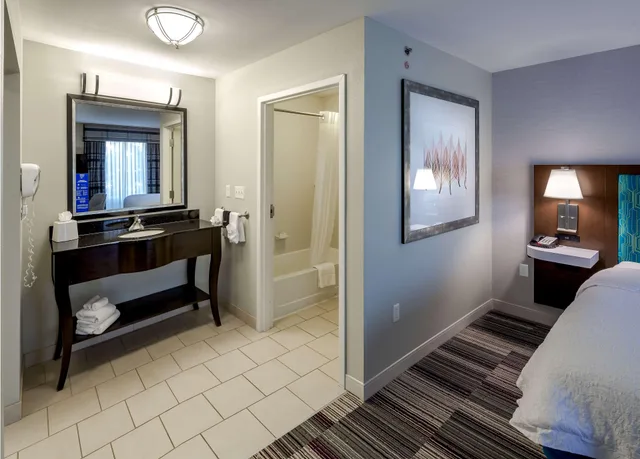 Studio, King Bed, Hampton Inn & Suites Chicago Southland Matteson 2/2