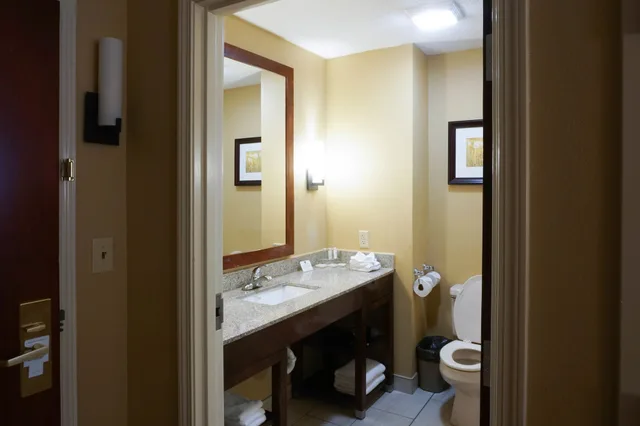 Business, King Bed, Best Western Plus Georgetown Corporate Center Hotel 4/4