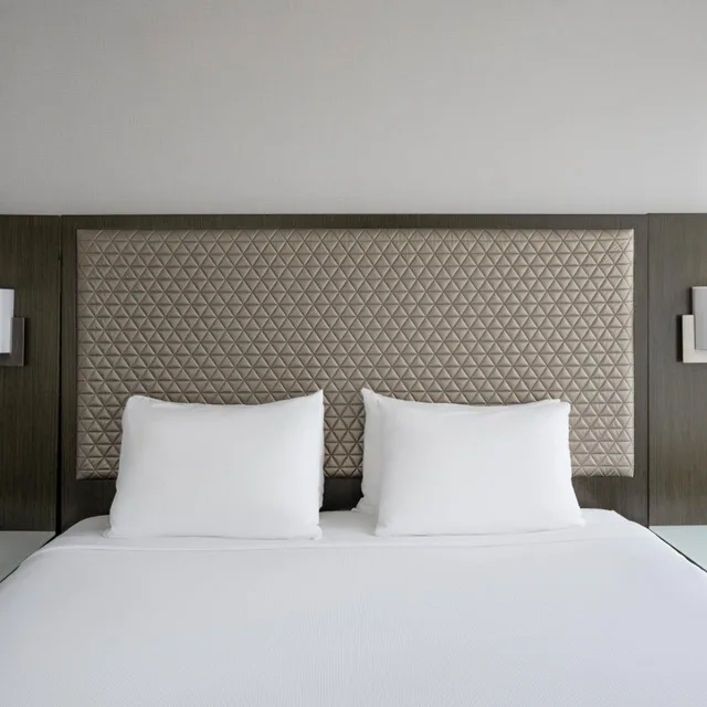 Specialty, King Bed, Sofa, Bathtub, Accessible، Hyatt Washington DC / Convention Center 4/8