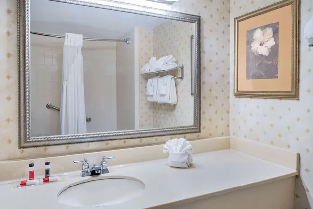 جناح بسرير كينج، La Quinta Inn & Suites by Wyndham Duluth/Atlanta 4/5