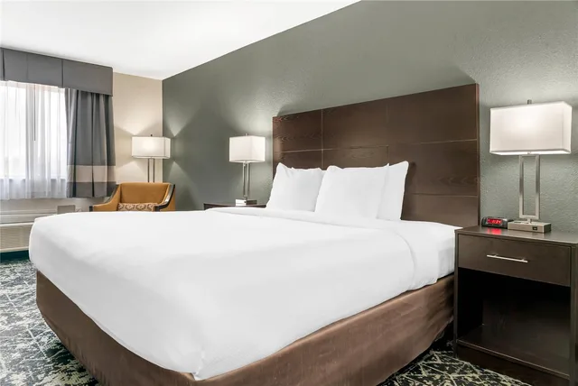 Room, King Bed, Quality Inn Grand Rapids South Byron Center 2/4