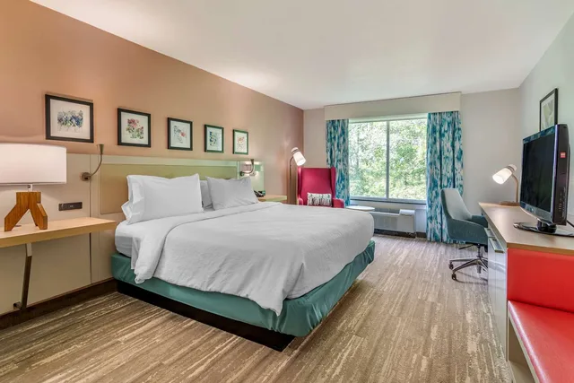 1 King Bed Deluxe with Sofabed, Hilton Garden Inn Atlanta Ne Gwinnett 2/7