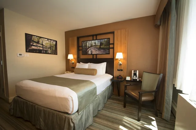غرفة قياسية بسرير كوين لذوي الإعاقة، Best Western Queens Gold Coast 2/10