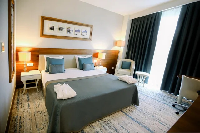 غرفة قياسية بسرير كينج، Baia Hotel Bursa 3/10