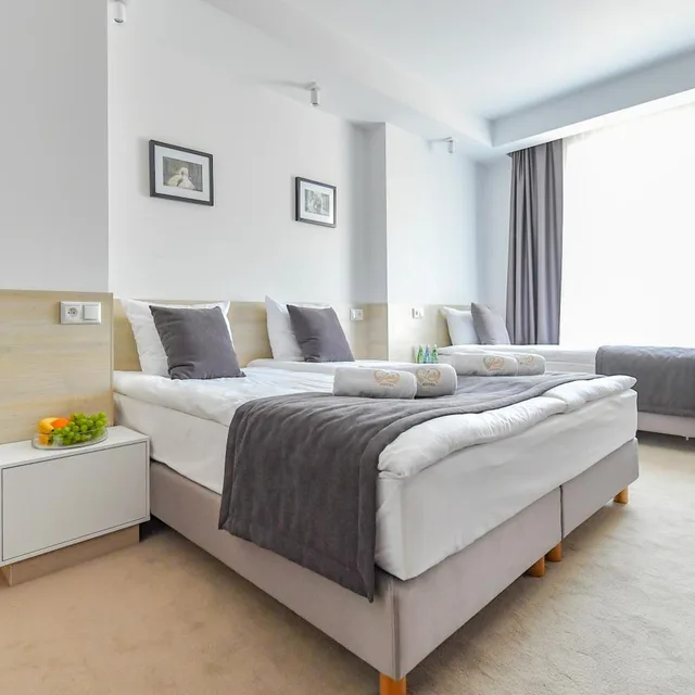 غرفة ديلوكس بسرير مزدوج، Lubhotel 2/6