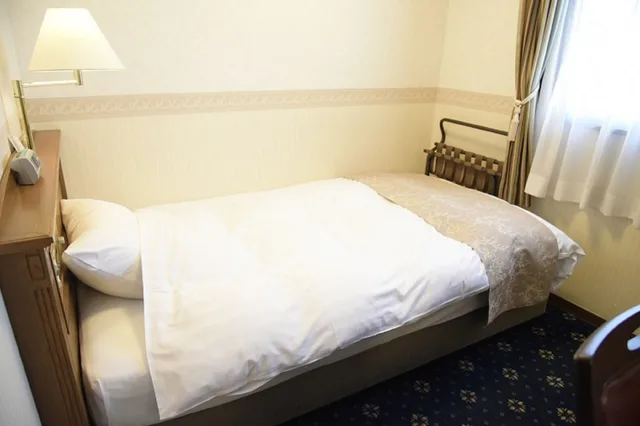 Room, Single, Hotel Arthur 5/8
