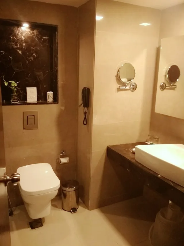 Club, King Bed, Fortune Murali Park 3/3