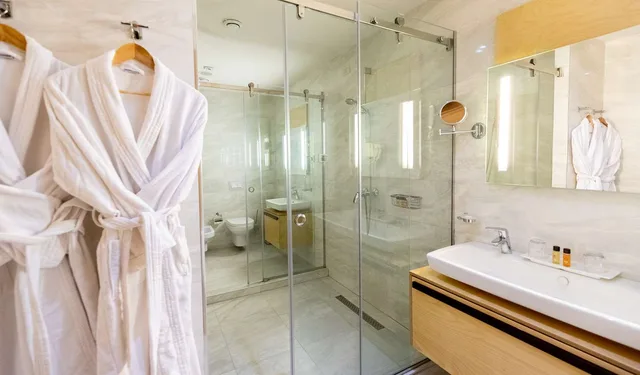 جناح جونيور بسرير كينج بحوض استحمام، Best Western Premier Ark Hotel 4/4