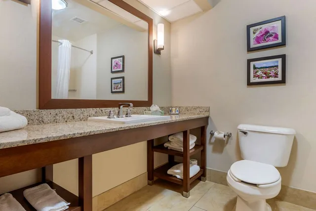 جناح بسرير كينج، Comfort Suites Gastonia Charlotte 6/6
