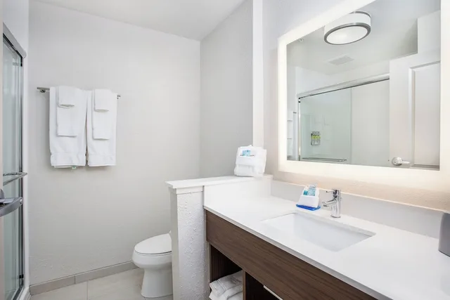 جناح ديلوكس بسرير كينج لذوي الإعاقة، Holiday Inn Express & Suites Lexington W - Versailles 3/6