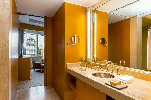Grand, Suite, King Bed, Bridge View، Grand Hyatt Sao Paulo 9/10