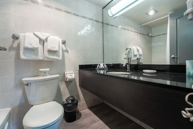 Premium, Studio, King Bed, City View, Century Plaza Hotel & Spa 9/10