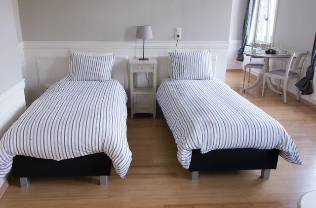 جناح بزنس بسريرين منفصلين بإطلالة على الحديقة بمطبخ، Apart Hotel Saint Georges 1/2
