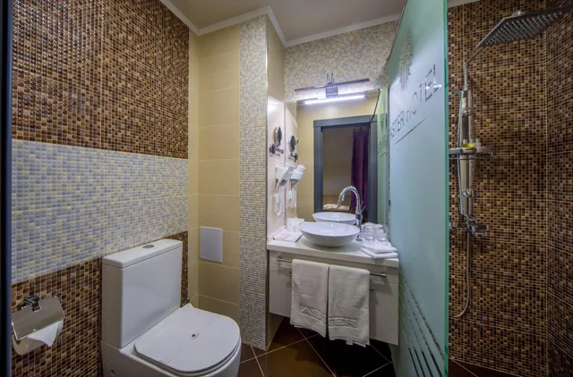 غرفة عائلية ثلاثية، ASTER HOTEL GROUP 2/2