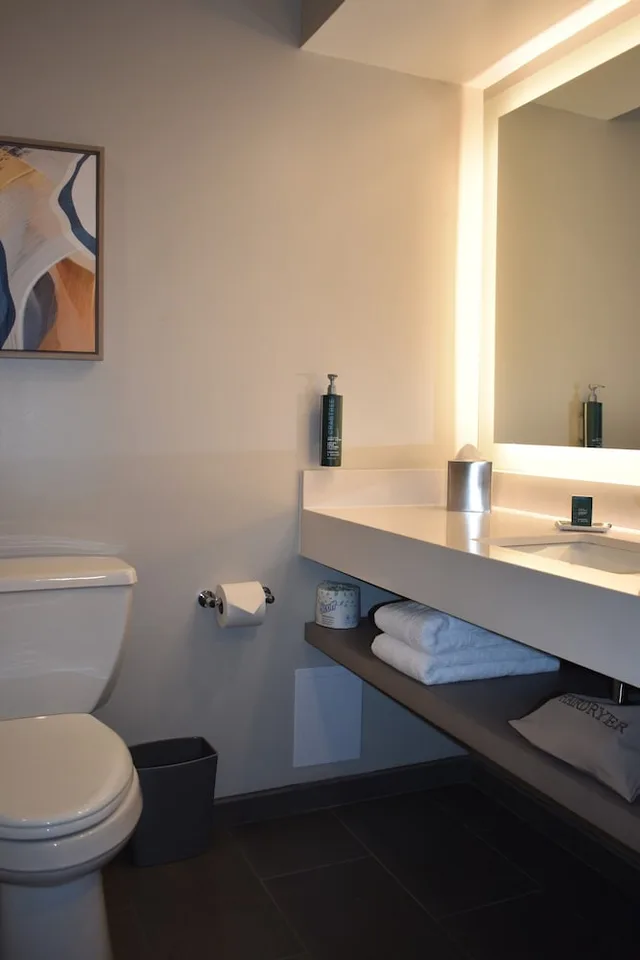 Renovated, King Bed، Doubletree By Hilton Chicago Oak Brook 8/8