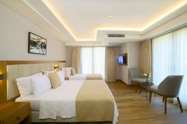 غرفة ثلاثية بسريرين، Erboy Hotel Istanbul 2/8