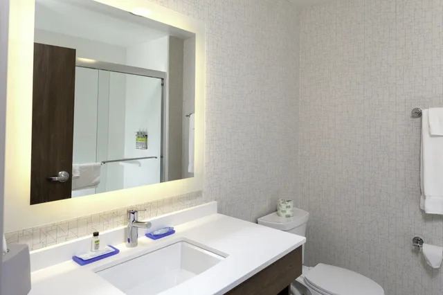 Standard, King Bed, Holiday Inn Express and Suites Phoenix East - Gilbert 4/5