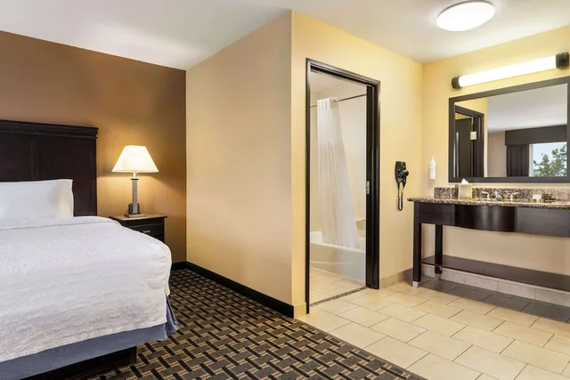 Studio, King Bed, Sofa, Hampton Inn And Suites Pine Bluff 3/3
