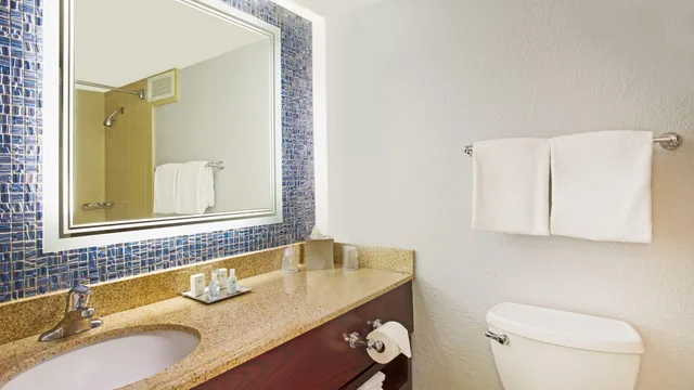 Z, 2 Double Beds، Wyndham Lake Buena Vista Disney Springs Resort Area 1/2