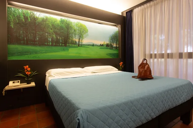 غرفة قياسية بإطلالة على الحديقة مفردة بسرير مزدوج، Hotel Pineta 3/6
