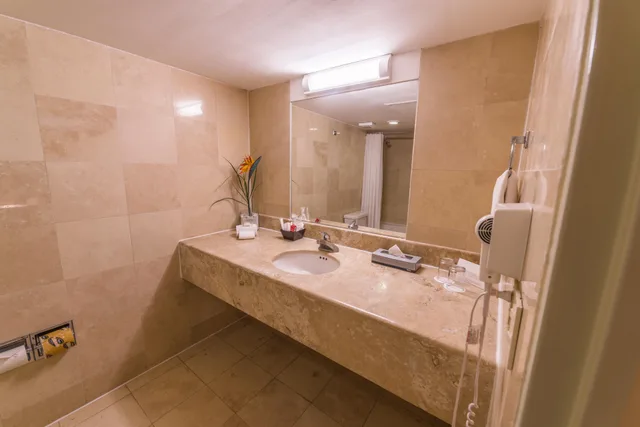 غرفة قياسية مفردة، Ramada by Wyndham Hola Culiacan 4/4
