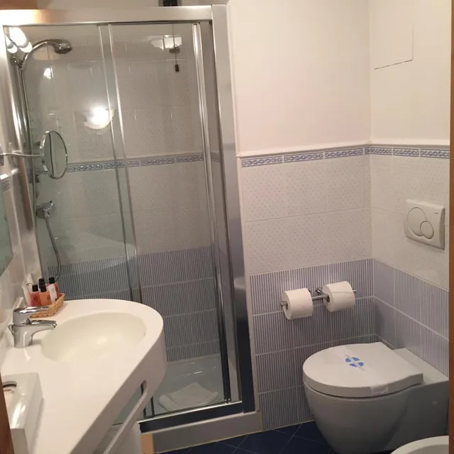 غرفة قياسية بسرير مزدوج أو سريرين منفصلين بإطلالة على الحديقة، Campiglio Bellavista 6/7