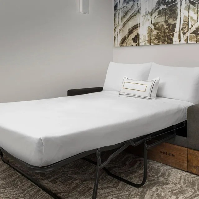 جناح بسريرين كوين مع أريكة بحوض استحمام لذوي الإعاقة، SpringHill Suites by Marriott Atlanta Perimeter Center 2/4