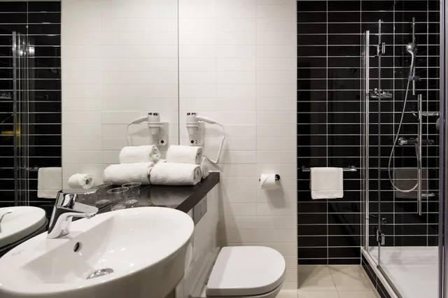 غرفة قياسية بسرير فردي، HOLIDAY INN EXPRESS UTRECHT - PAPENDORP 3/6