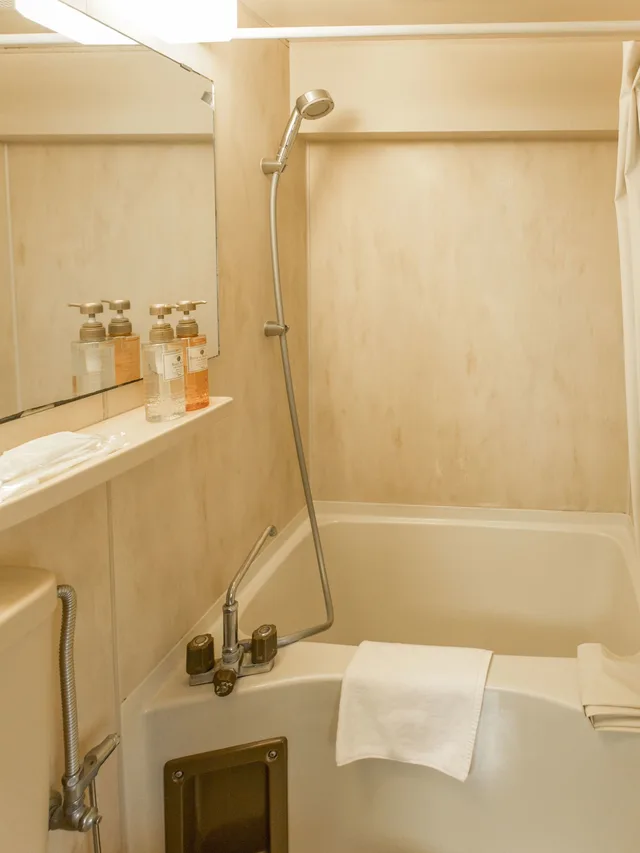 غرفة اقتصادية مزدوجة للمدخنين، Flexstay Inn Higashi-Jujo 5/5