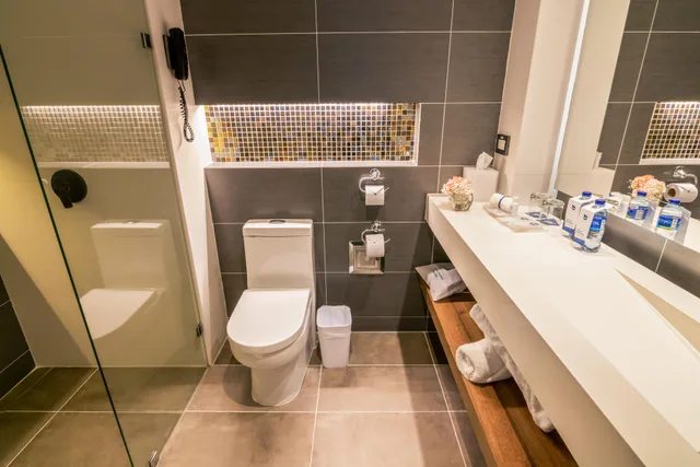Superior, Double Bed, GHL Hotel Porton Medellin 7/7