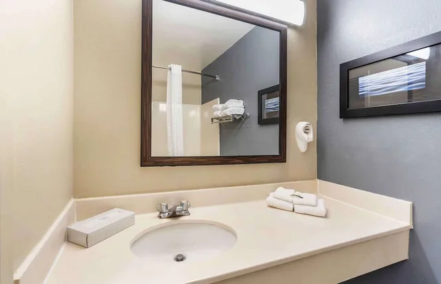 استوديو بسريرين مزدوجين، Extended Stay America Chicago- Woodfield Mall-Convention Ctr 2/2