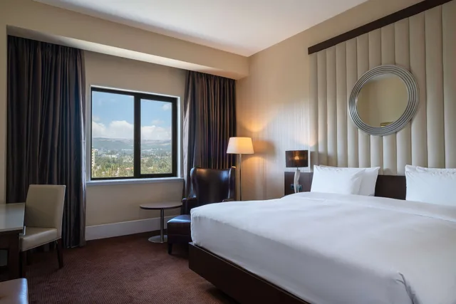 جناح رئاسي بسرير كينج مع دخول الصالة، Radisson Blu Hotel, Addis Ababa 2/10