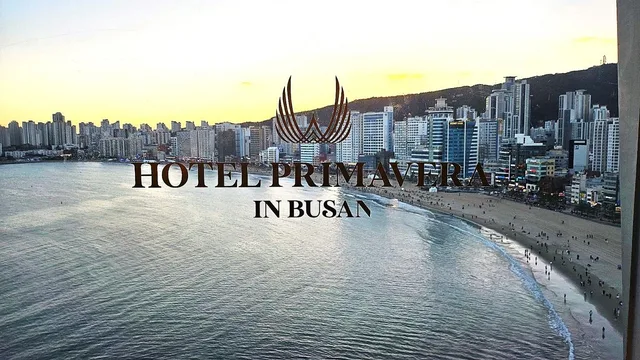 Royal, Ocean, Suite, Ocean View، Primavera in BUSAN 1/1