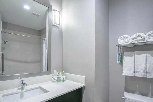 Suite, King Bed, Accessible, Holiday Inn Express Suites Houston North Iah Area 4/5