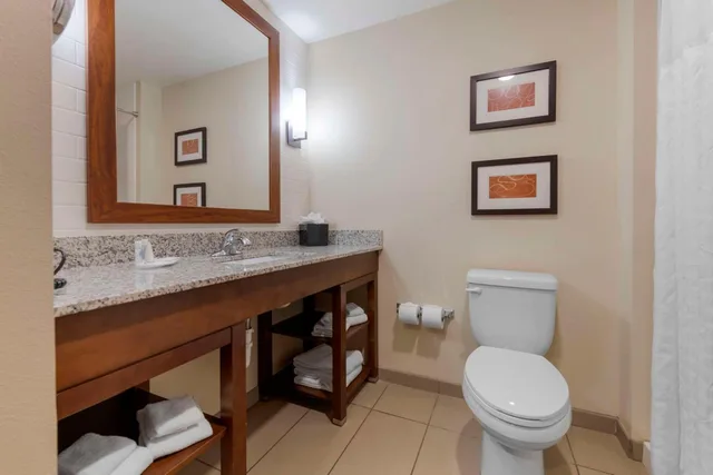 جناح بسرير كوين، Comfort Suites & Conference Center Worthington MN 5/6