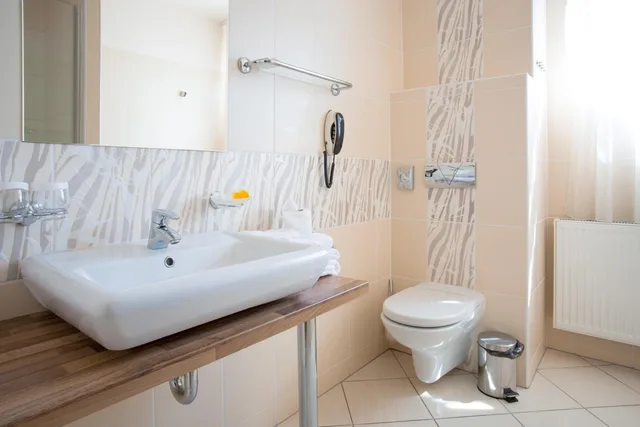 غرفة قياسية بسرير مزدوج أو سريرين منفصلين، U Pramenu Hotel 7/10
