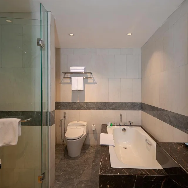 جناح تنفيذي، ANARA AIRPORT HOTEL 5/6