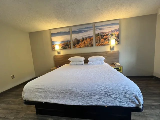 غرفة بسرير كينج لذوي الإعاقة، Days Inn By Wyndham College Park Airport Best Road 4/10