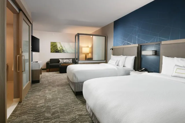 جناح بسريرين كوين مع سرير سحّاب إضافي مع أريكة لذوي الإعاقة، Springhill Suites By Marriott Dallas Dfw Airport South/Centreport 1/8