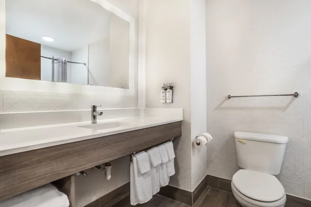 غرفة قياسية بسرير كينج، Holiday Inn Express Hotel And Suites Phenix City Columbus 5/6