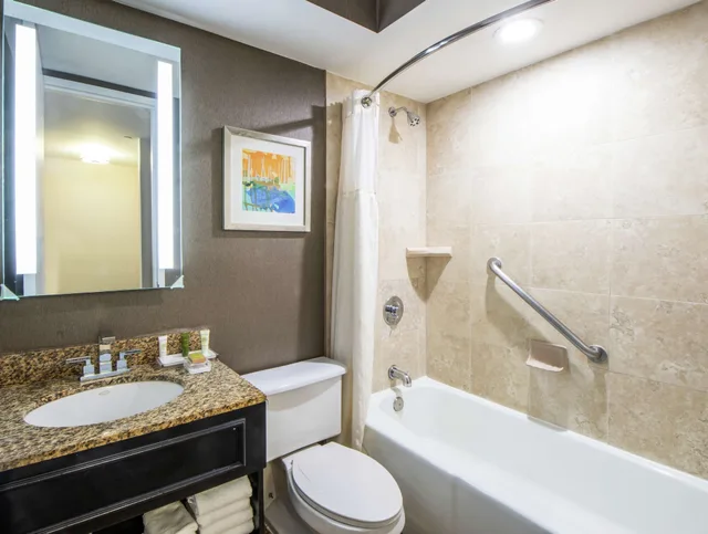 1 Bedroom, Pure, King Bed, Allergy Friendly، Hilton St Petersburg Bayfront 3/5