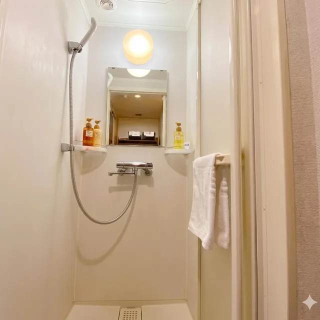 Moderate, Semi Double Bed، Dormy Inn Akihabara 4/6