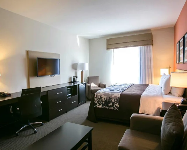 جناح بسرير كينج مع أريكة، Sleep Inn Suites Austin Northeast 3/4