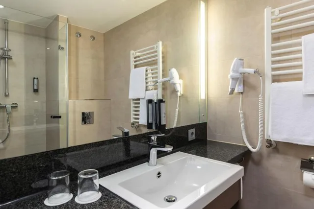 غرفة بزنس، Intercityhotel Dresden 5/7
