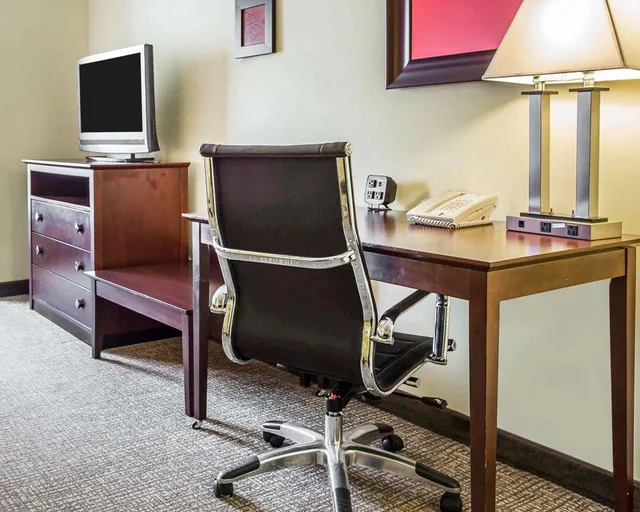 Suite, King Bed, Comfort Suites Rock Hill Manchester Meadows Area 3/3